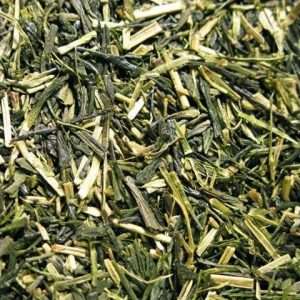 TE VERDE KUKICHA JAPONES